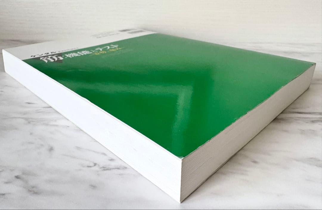 【未使用品】ケンダル／筋:機能とテスト : 姿勢と痛み