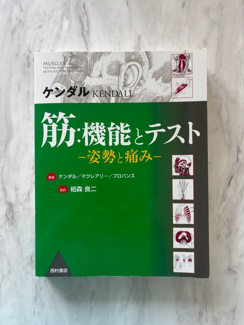 【未使用品】ケンダル／筋:機能とテスト : 姿勢と痛み