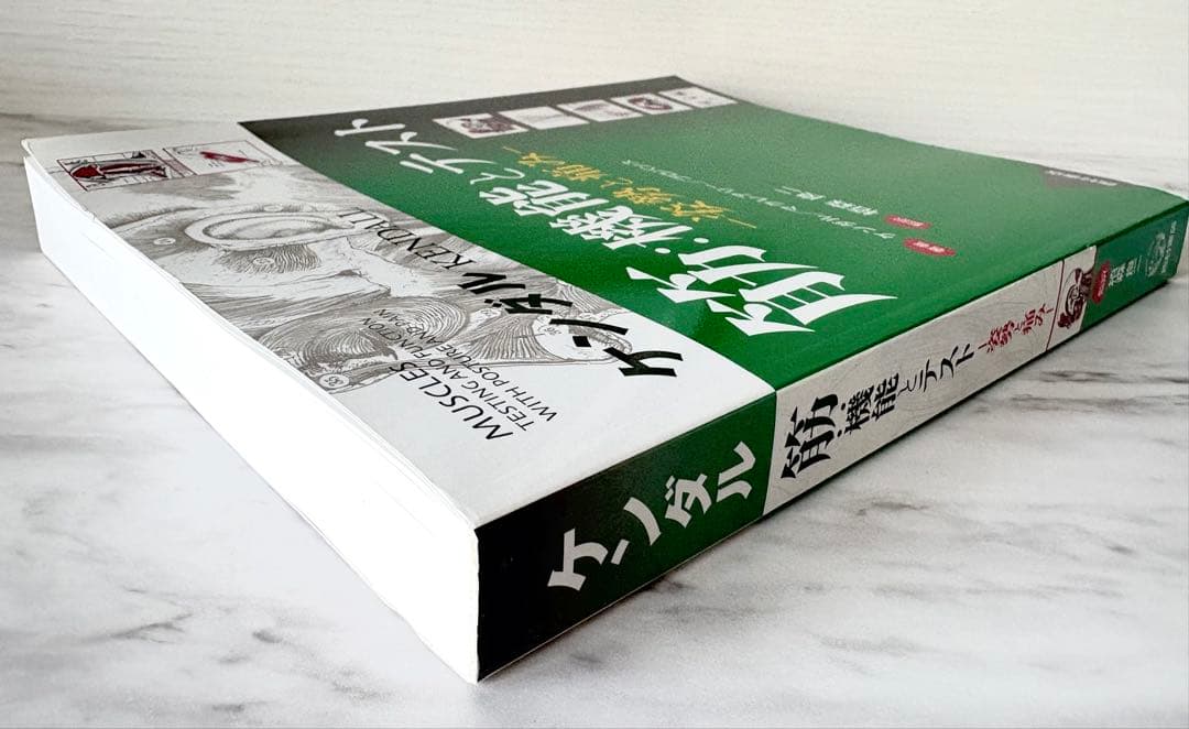 【未使用品】ケンダル／筋:機能とテスト : 姿勢と痛み