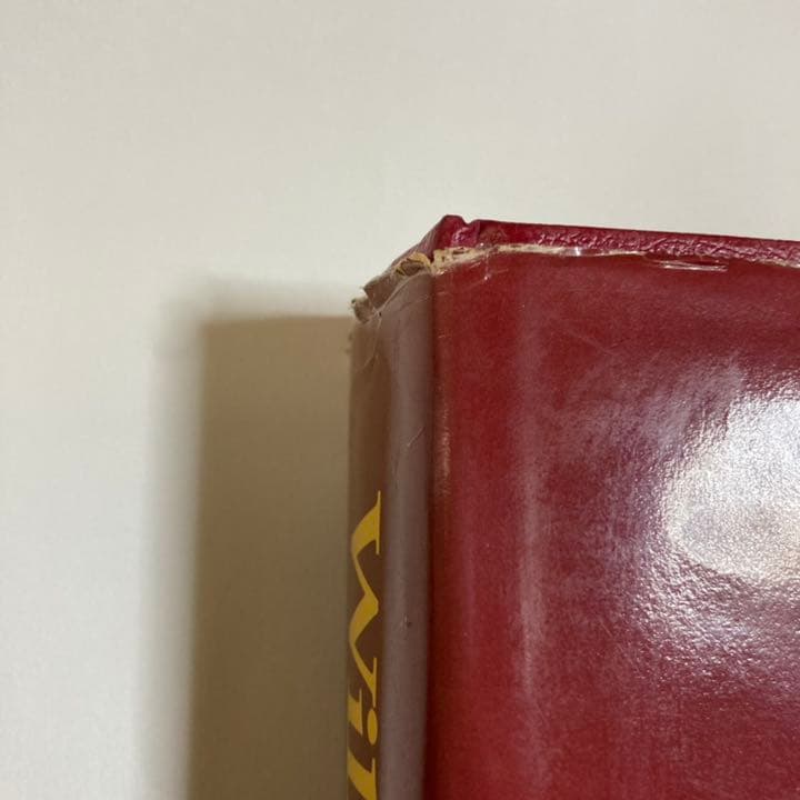 ヴィルヘルム・ブッシュ 全作品集