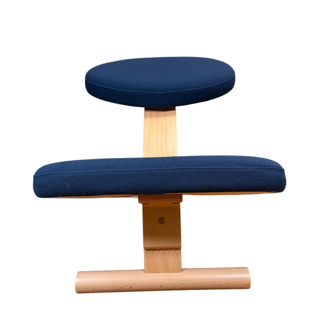 【極美品】サカモトハウス　バランスチェア バランスイージー ネイビー　カバー付き