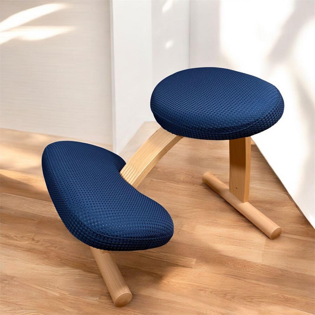 【極美品】サカモトハウス　バランスチェア バランスイージー ネイビー　カバー付き