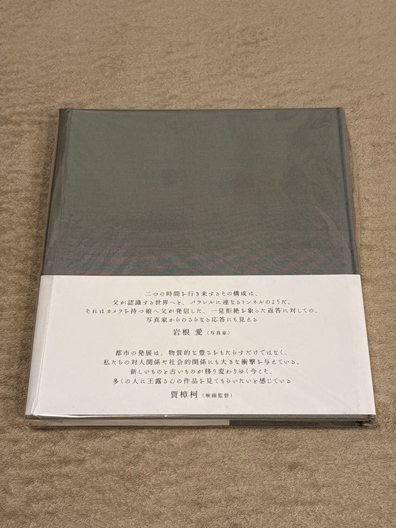 【サイン入り】王露、Frozen are the Winds of Time