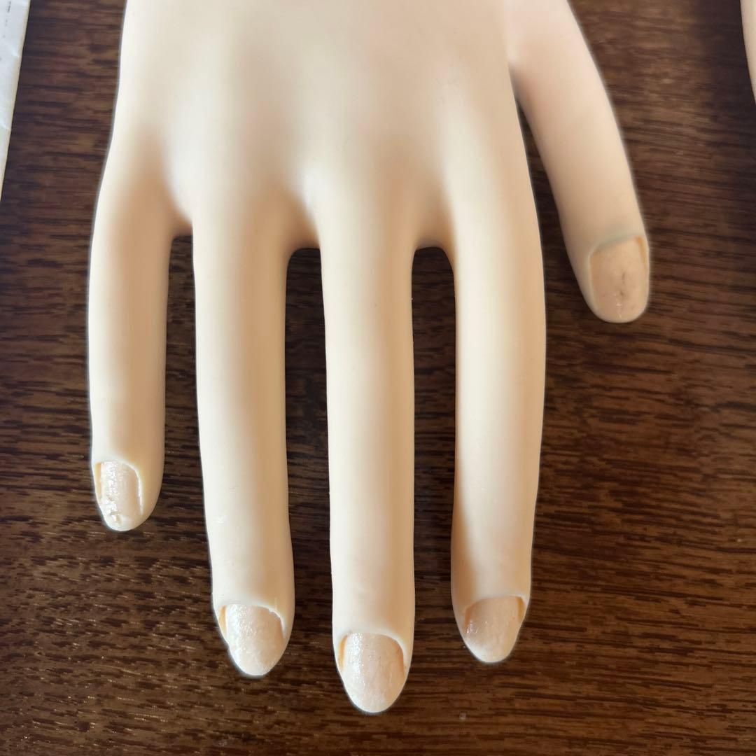 JNEC認定 モデルハンド