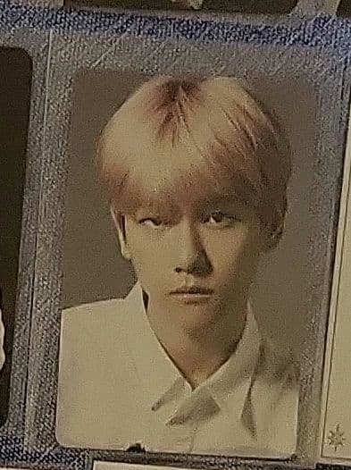 EXO　ベッキョン　ベク　トレカ　bird