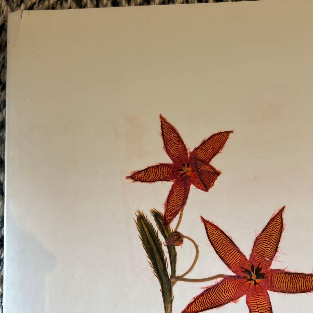 アート・デザイン・音楽 FLORA by Nick Knight