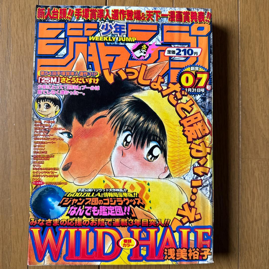 週刊少年ジャンプ 1998年7号 WILD HALF表紙 浅美裕子