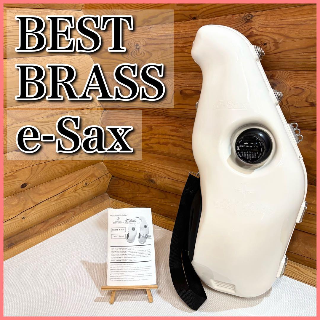 BEST BRASS ベストブラス e-Sax アルトサックス用 消音器