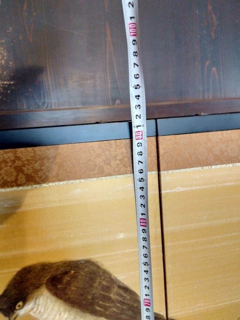 松の木と鳥の四つ折り屏風