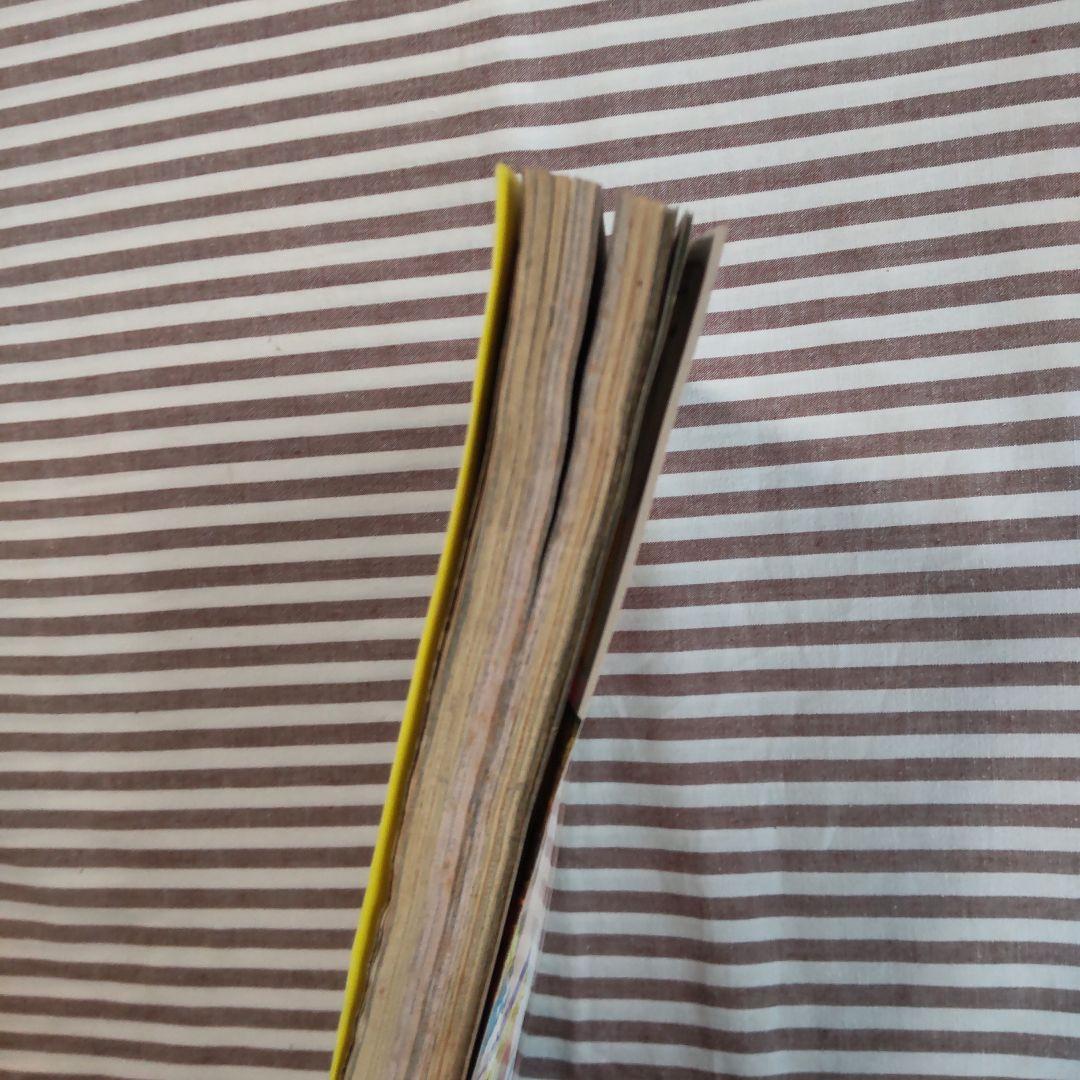 YOUNG ANIMAL No.18 1996年 ベルセルク ヤングアニマル