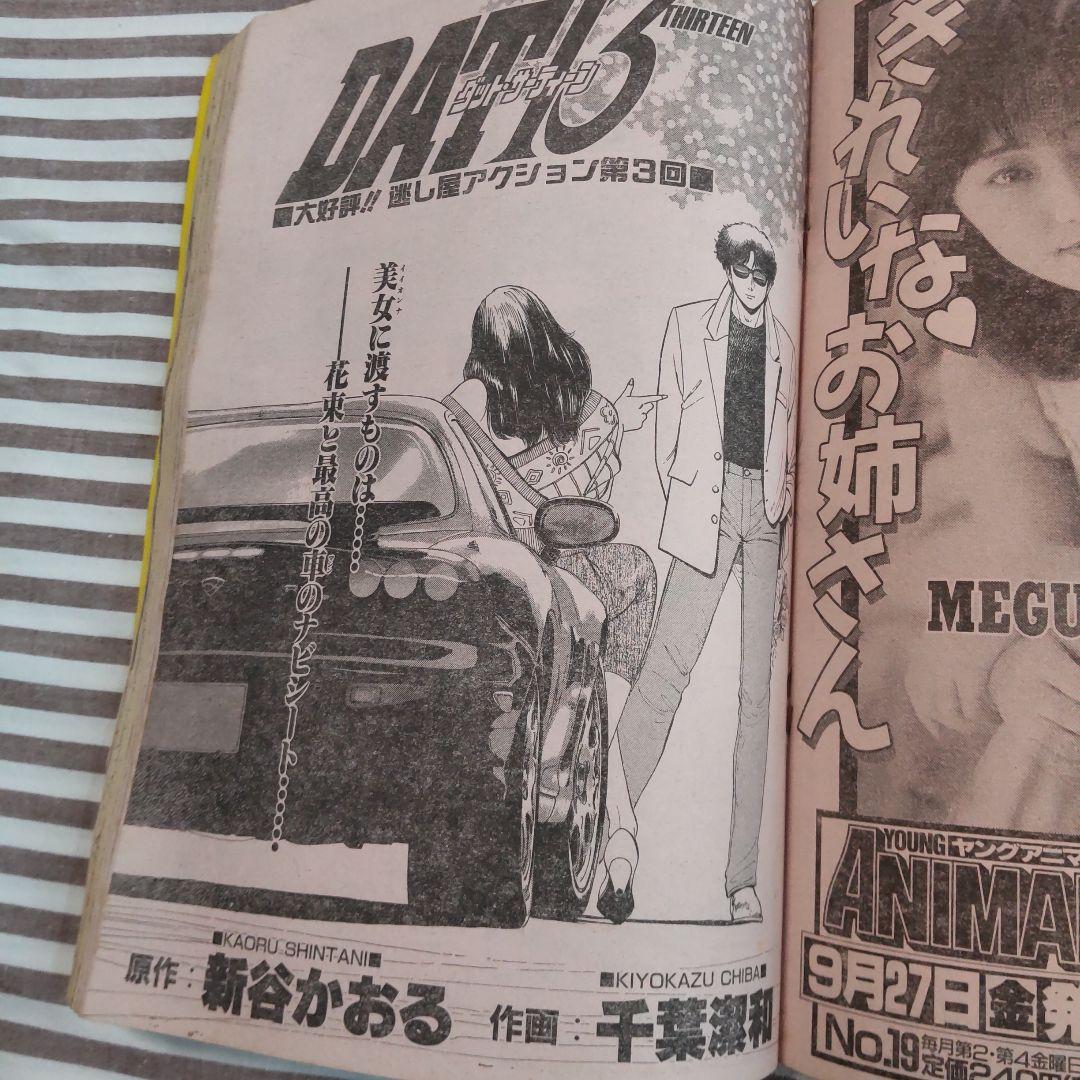 YOUNG ANIMAL No.18 1996年 ベルセルク ヤングアニマル