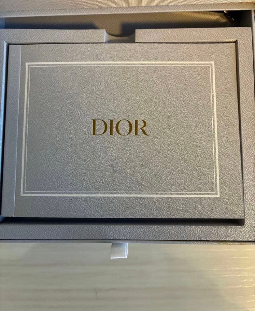 時計 Dior La Mini D De Satine CD04011X1001