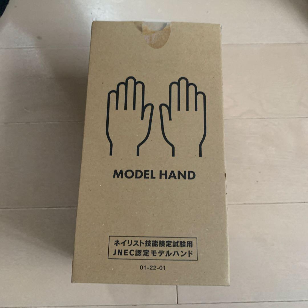 MODEL HAND ネイルアート練習用手モデル STハンド　美容学生まとめ売り