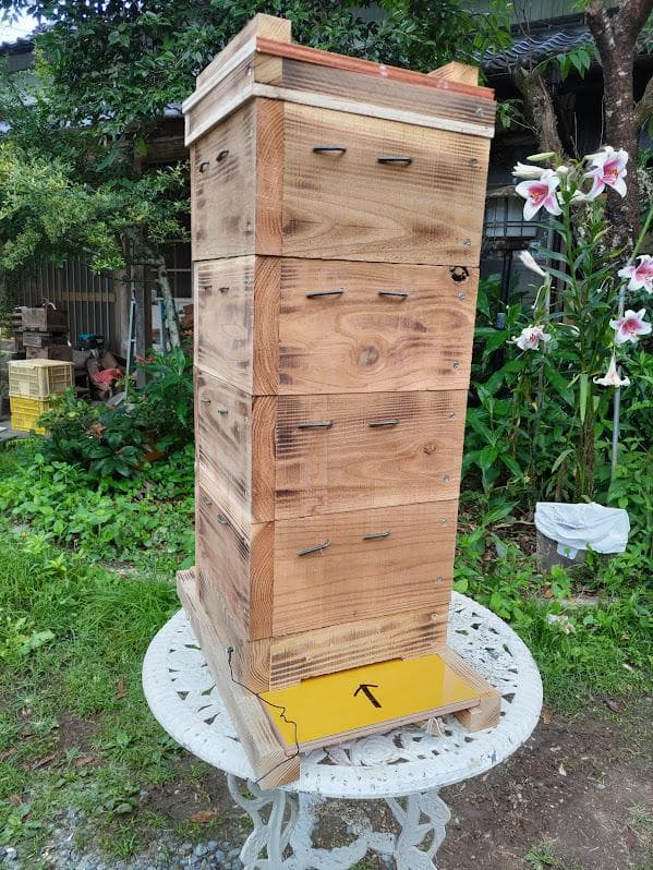 日本蜜蜂 重箱式巣箱 スライド底板 説明書有　プラス　誘引液300㌘