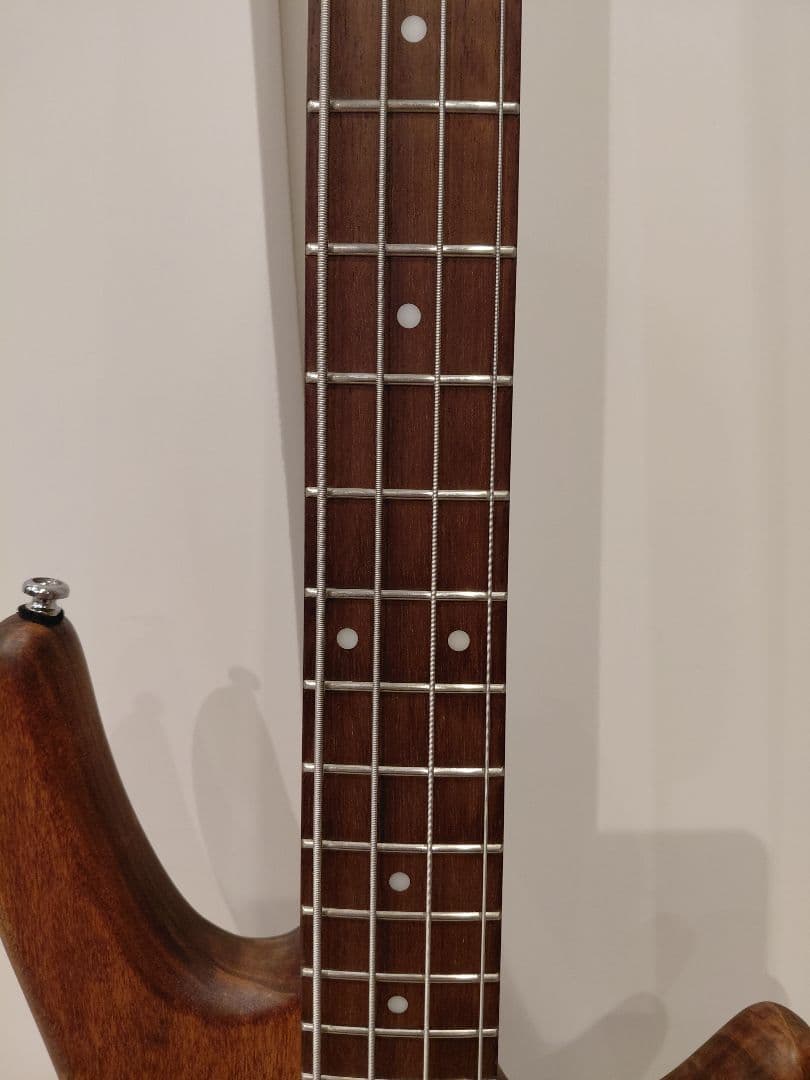 Ibanez アイバニーズ 4弦 (マホガニー・オイル) GSR100EX-MO