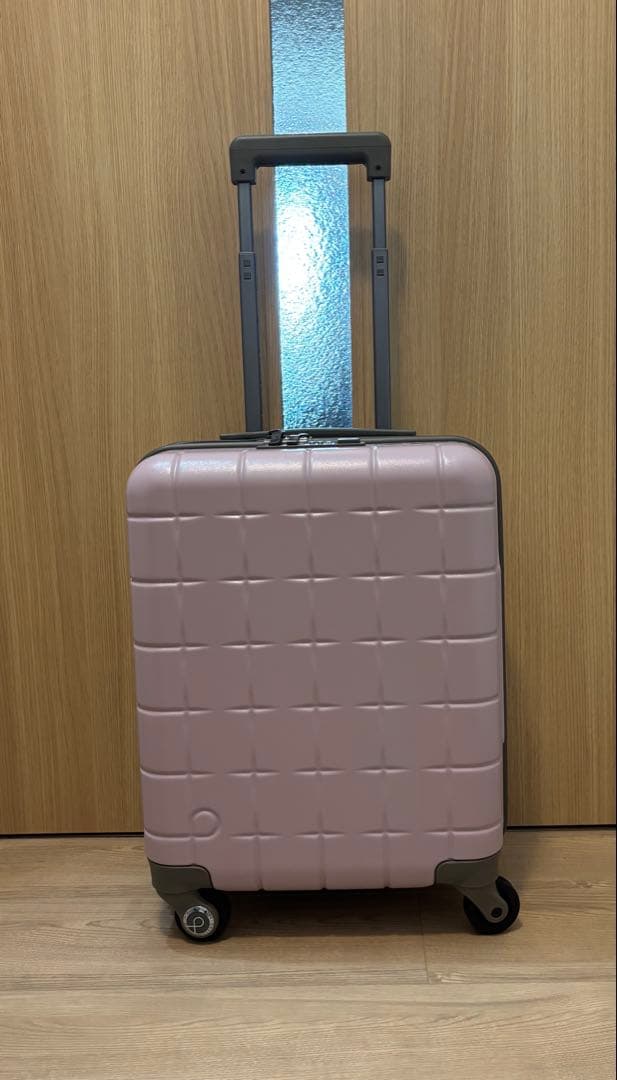 さ*い様 最終価格‼️【1回使用極美品】プロテカ スーツケース 360T 22L