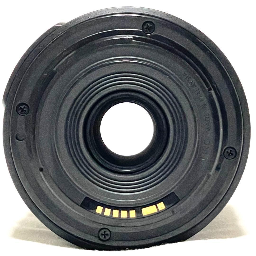 野鳥も撮れる❣️ Canon EF-S 55-250mm IS II 望遠ズーム