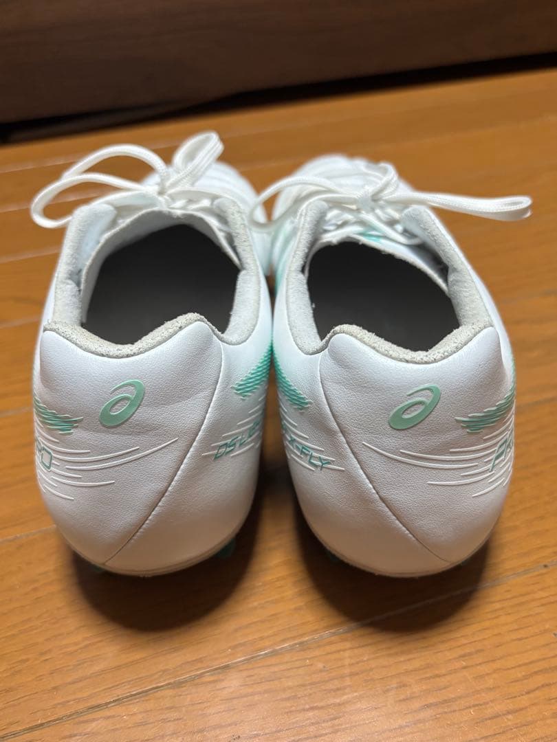 シューズ ASICS DS LIGHT X-FLY PRO 2