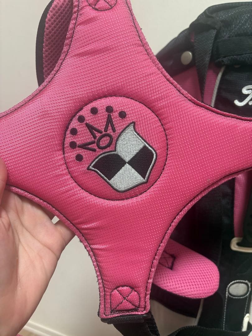 【お値下げします。】Scotty Cameron 2009年限定　キャディバッグ