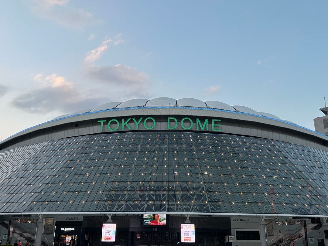 侍ジャパン　オーセンティック ストレッチスウェットフーディー　Lサイズ 袋付き