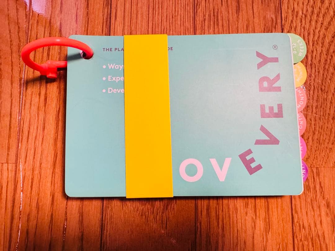 LOVEVERY ラブエブリー　プレイジム　ベビージム