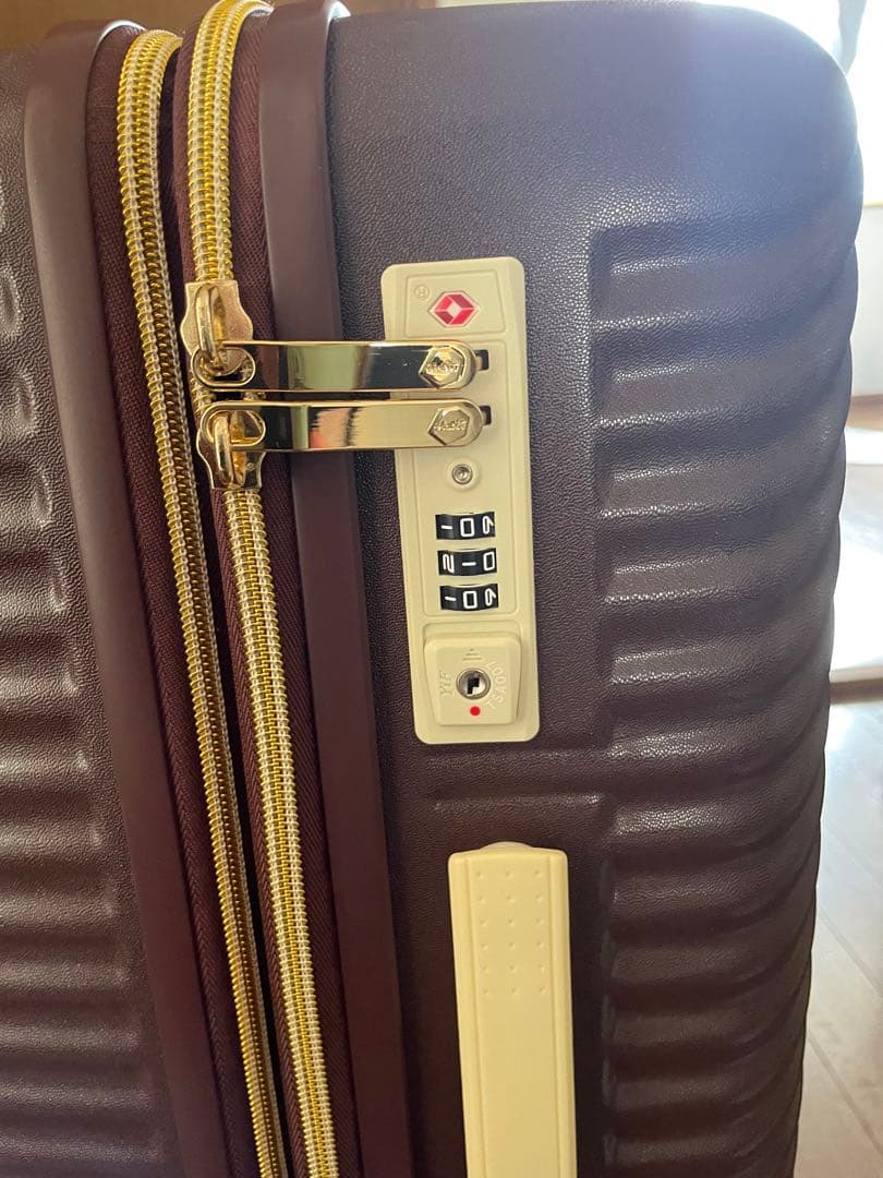 HaNTxJewelna Rose コラボ　ACEスーツケース　限定カラーチョコ