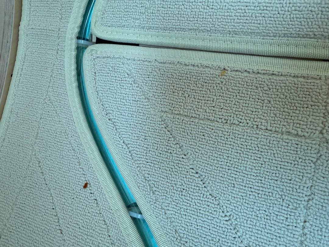 み*ん様 【美品】スターキャットホイール Lサイズ／猫用ランニングホイール（直径