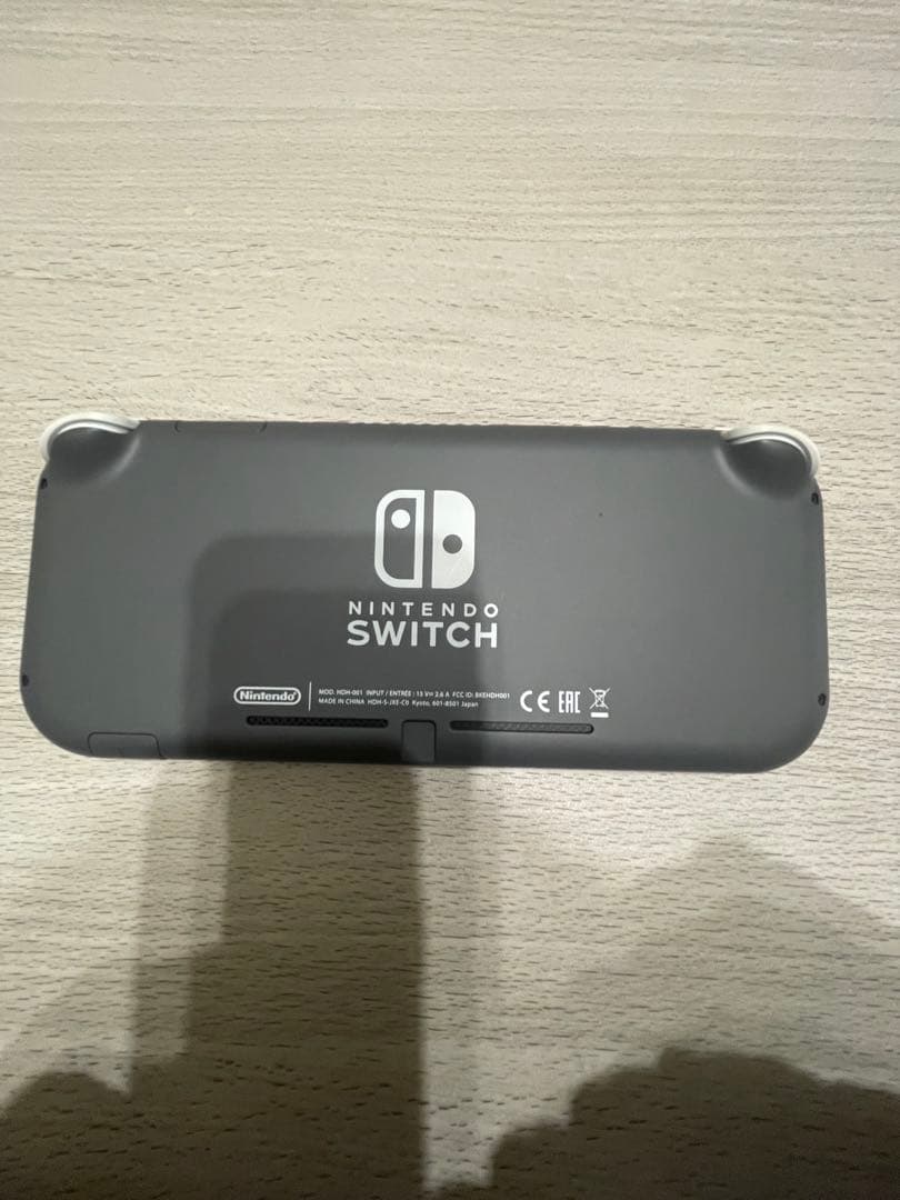 Nintendo Switch Lite グレー本体ACアダプターSDカード付き