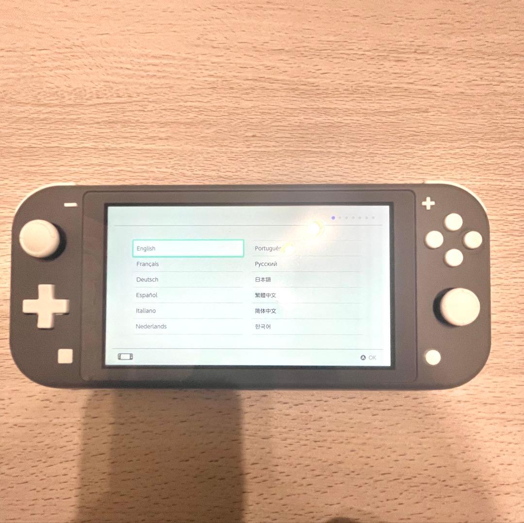 Nintendo Switch Lite グレー本体ACアダプターSDカード付き