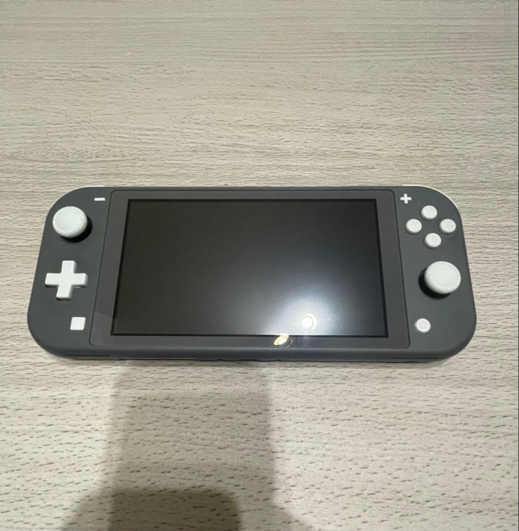 Nintendo Switch Lite グレー本体ACアダプターSDカード付き