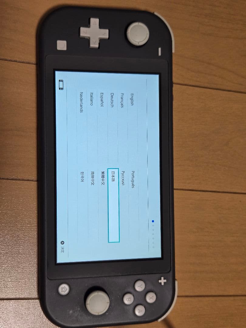 Nintendo Switch Lite グレー 本体 充電器