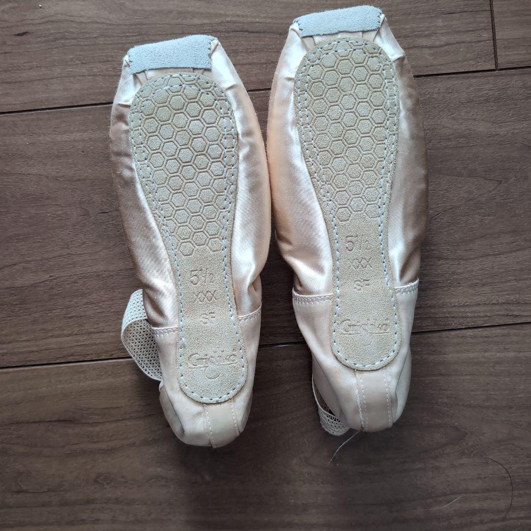 グリシコ　スターポアント　5 1/2 ☓☓☓　SF