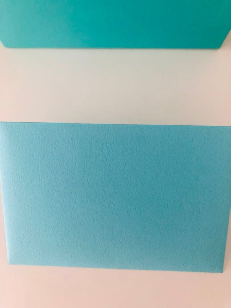 新品未使用♡kate spade サフィアーノレザー キーケース