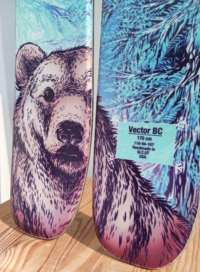 voile Vector BC スキー 170 cm　板のみ　うろこ板