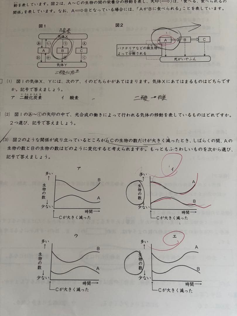 日能研5年生2023年度前期学習力育成テスト、春期、夏期講習テスト
