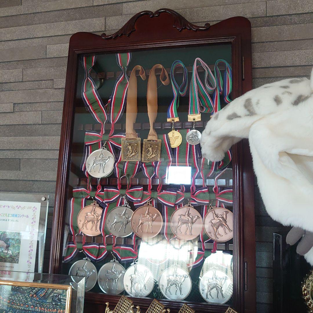 美品ディスプレイケース スーベニアスプーン　コレクションボックス　ガラス扉　壁掛