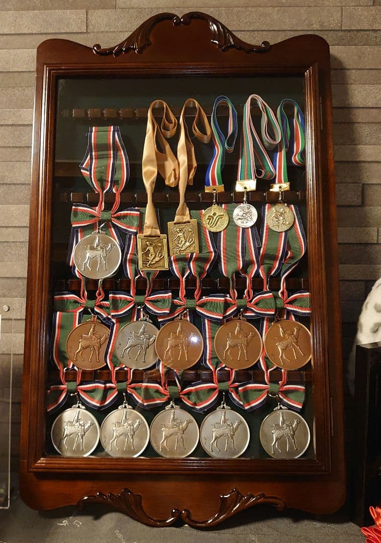 美品ディスプレイケース スーベニアスプーン　コレクションボックス　ガラス扉　壁掛