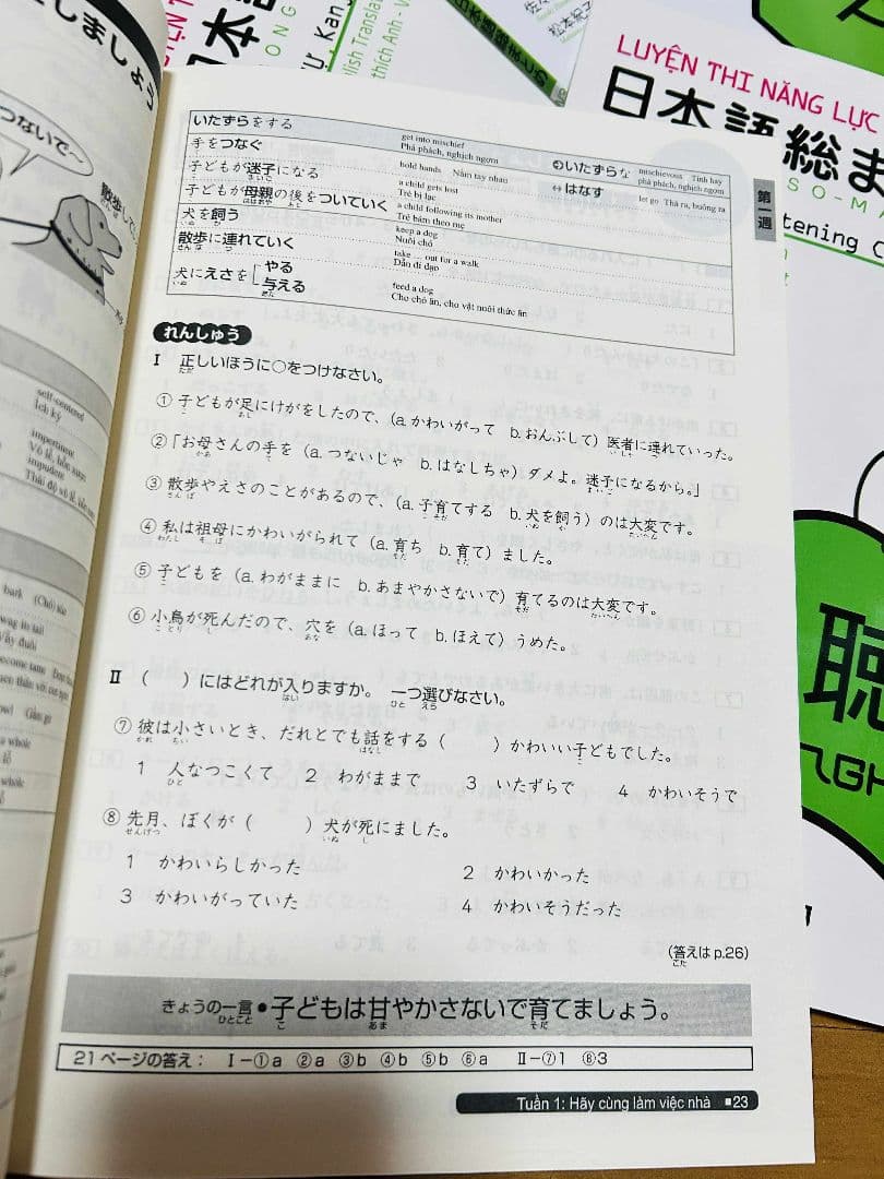日本語総まとめN1 N2 N3 N4 N5（ベトナム語・英語版） 18冊セット