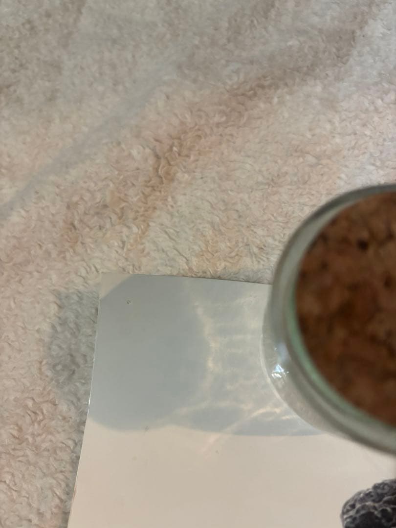 希少B1判映画ポスター　シン・ゴジラ　長谷川博己 竹野内豊　石原さとみ