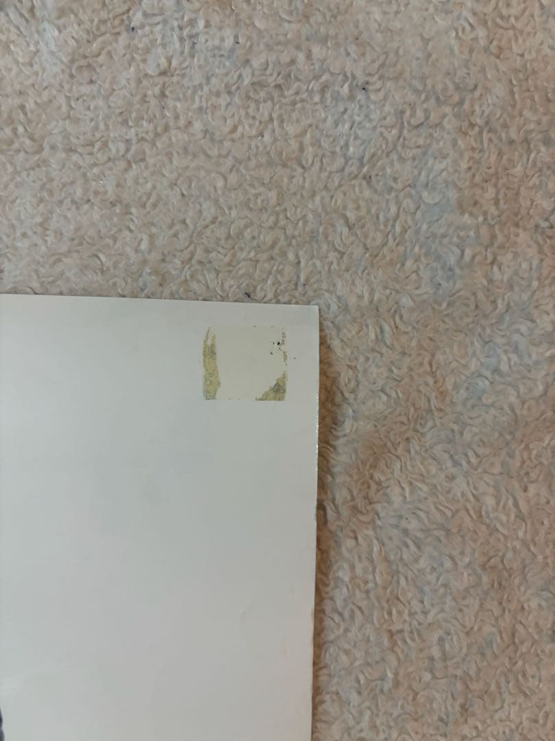 希少B1判映画ポスター　シン・ゴジラ　長谷川博己 竹野内豊　石原さとみ