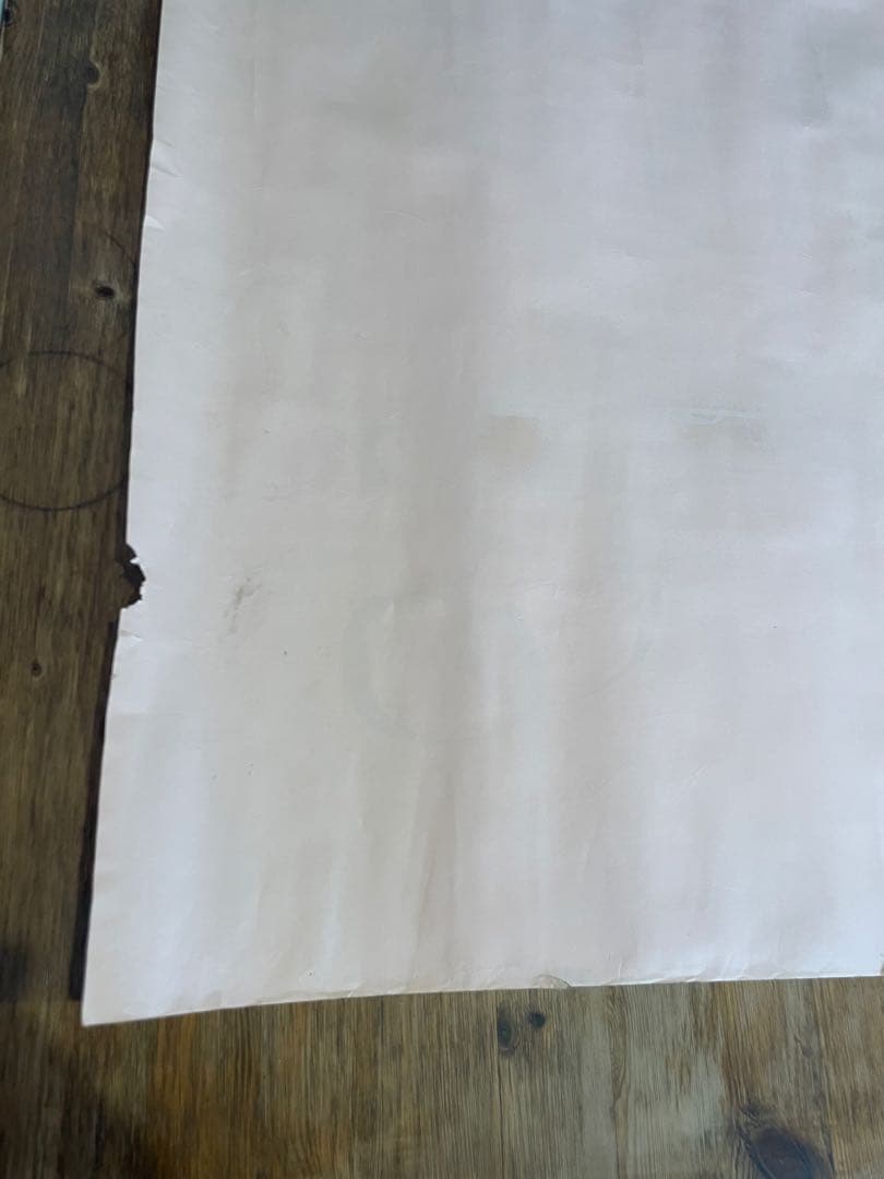 水森亜土 直筆 特大イラスト