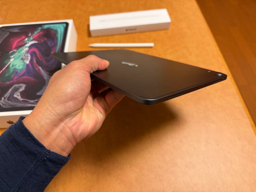 iPad Pro 11インチ64GB (第1世代) + Apple Pencil