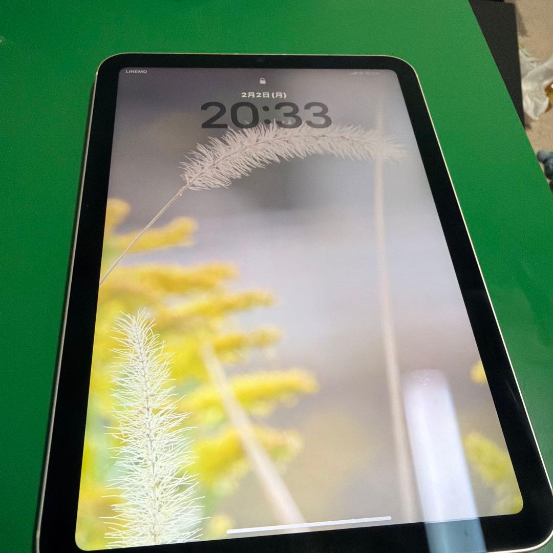 iPad mini6セルラーネットワーク⭕️256gb中古　付属なし