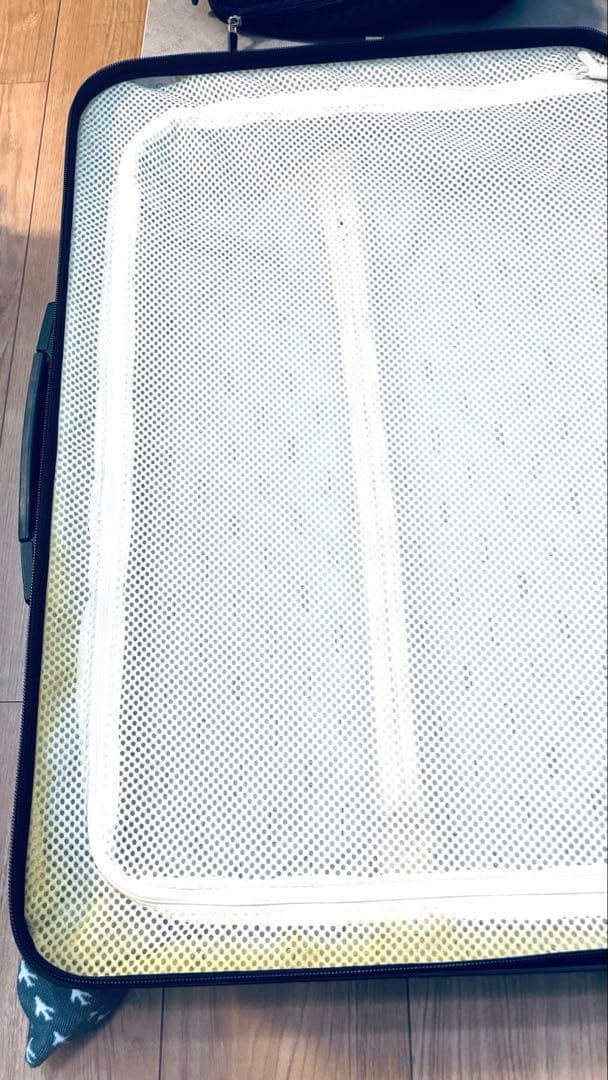 【直接受け渡し】リモワ　サルサエアー　63L 4輪　アイスブルー