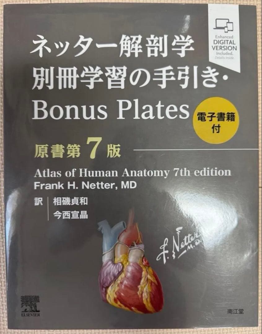 ネッター解剖学 フルセット版 原書第7版