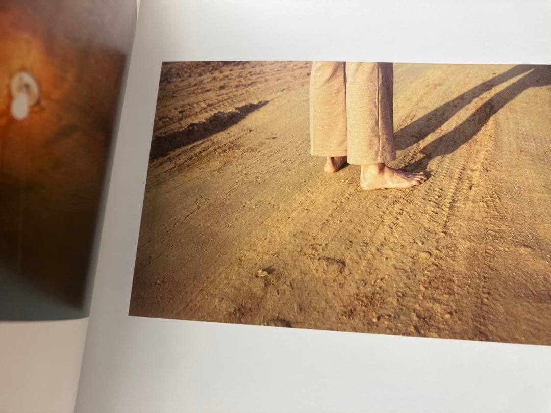 洋書 William Eggleston From black and white