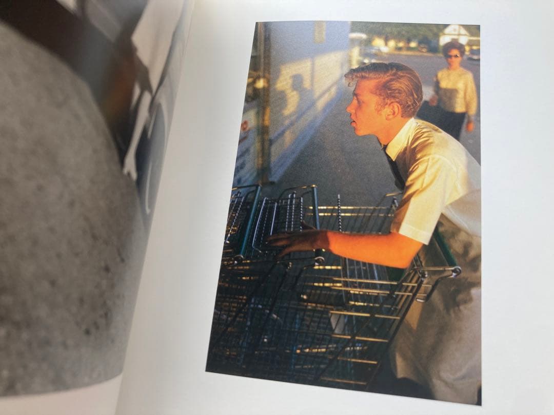 洋書 William Eggleston From black and white