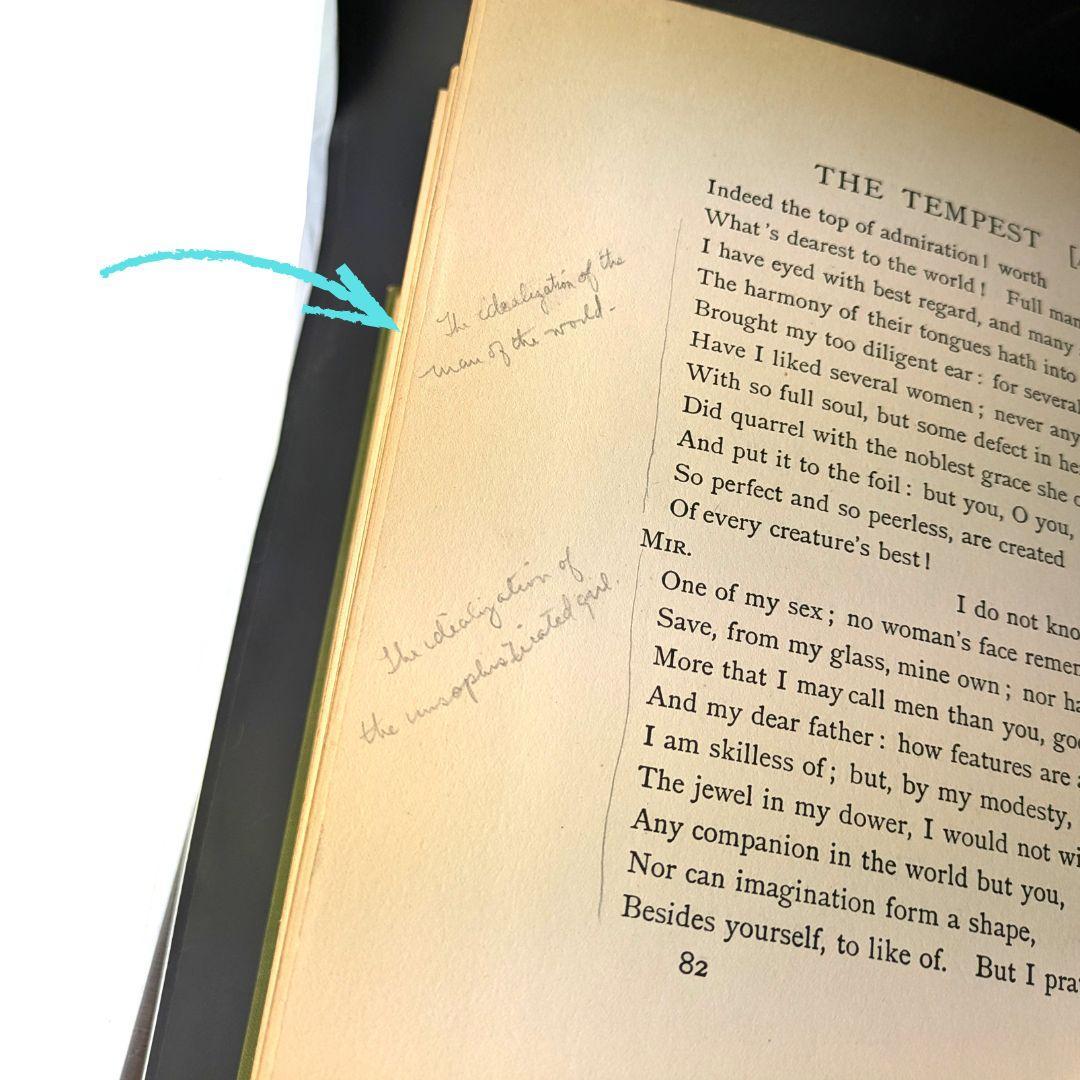 エドマンド・デュラック挿画 シェイクスピア『テンペスト』挿絵本 20世紀初頭刊