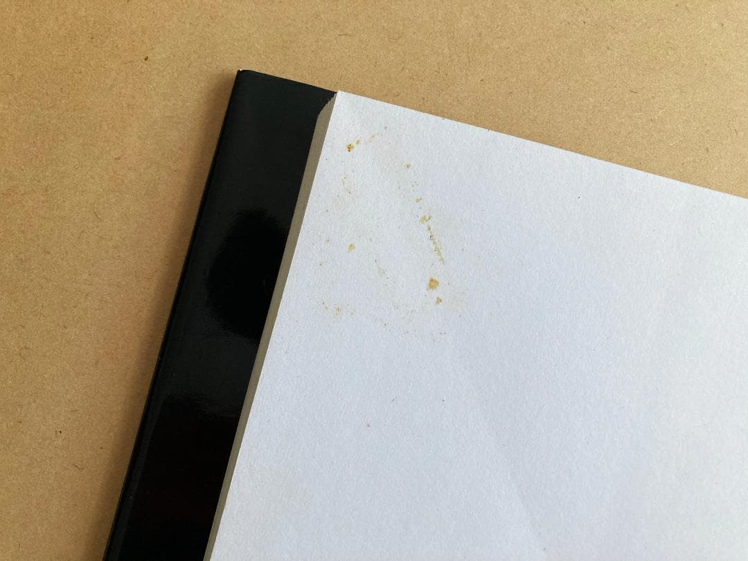 THE AGE OF INNOCENCE　デヴィッド・ハミルトン写真集