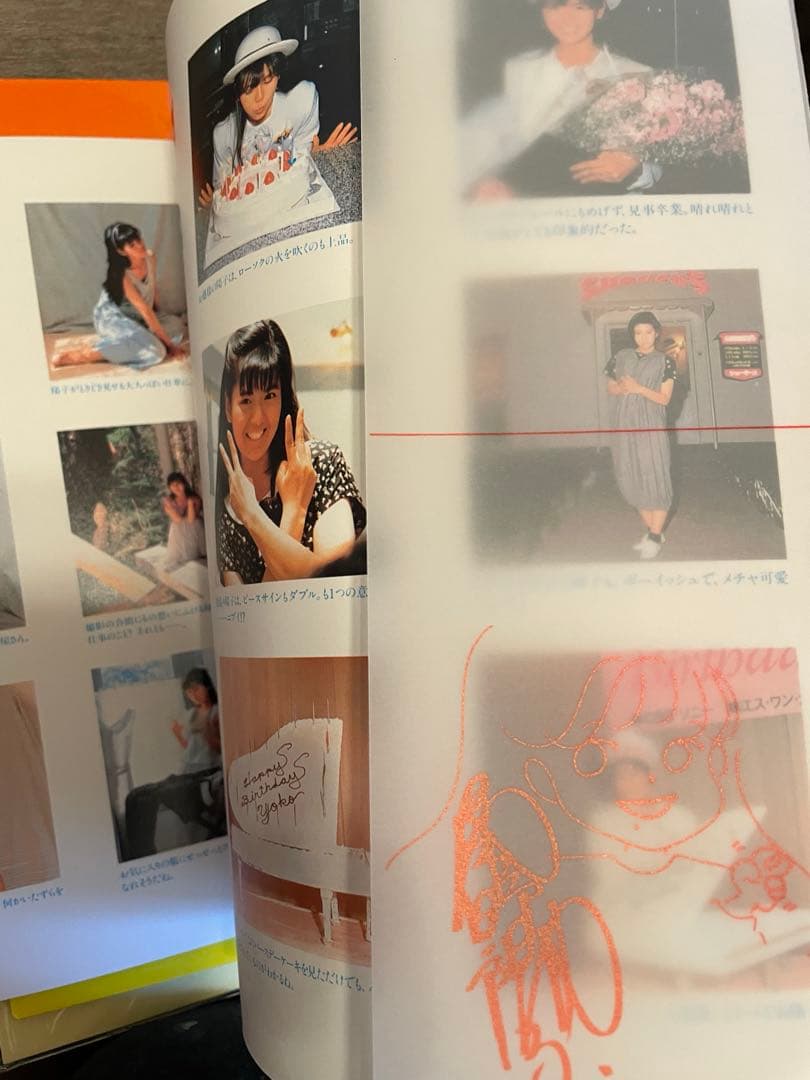 南野陽子　DVD BOX